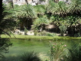 Kreta