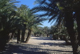 Kreta