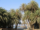 Kreta
