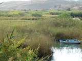 Kreta