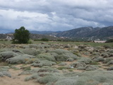 Kreta