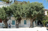 Kreta
