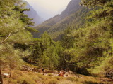 Kreta