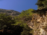 Kreta