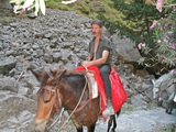 Kreta