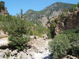 Kreta