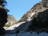 Kreta